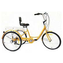 Xian adult tricycle