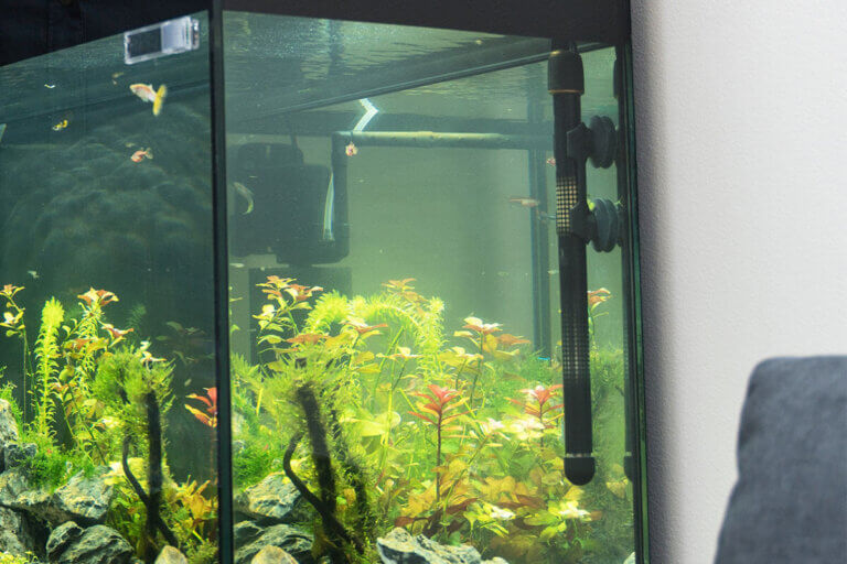 aquarium heater