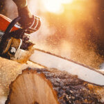 cordless chainsaw