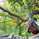 cordless garden saw