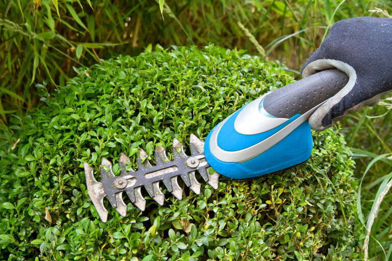 cordless grass trimmer