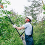 cordless pole saw