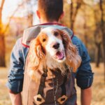 dog carrier backpack