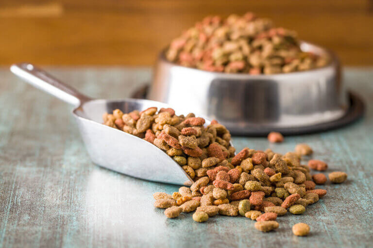 dog food for weight loss