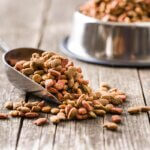 dried dog food