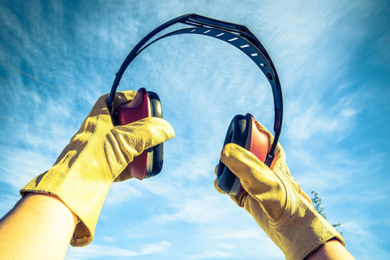 ear protector