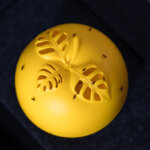fruit fly trap