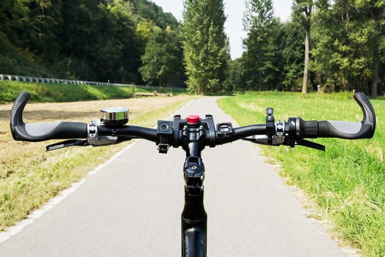 handlebar grip