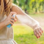 insect spray