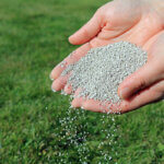 lawn feed