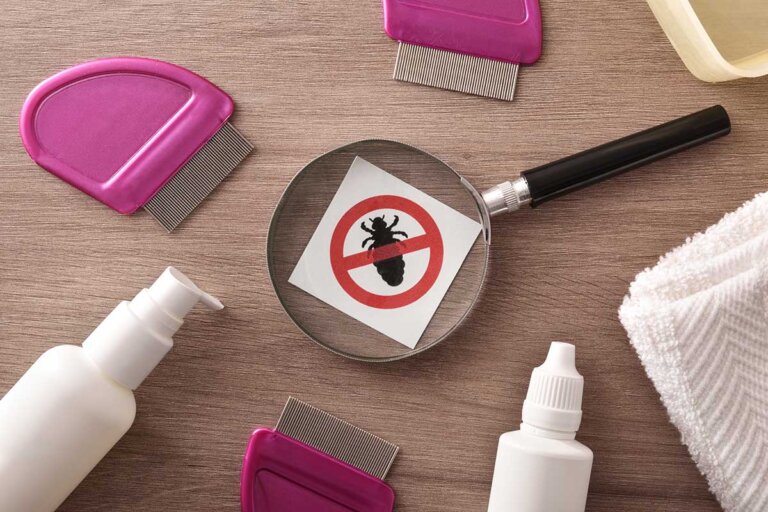 lice shampoo