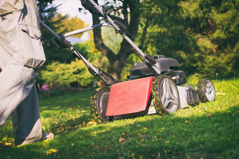 mulching lawn mower