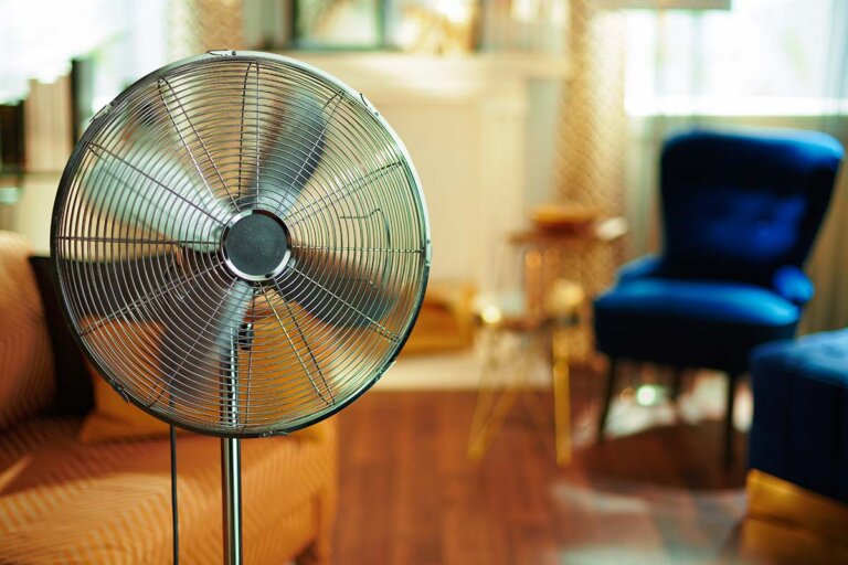 pedestal fan