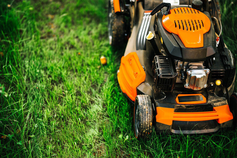 petrol lawn mower