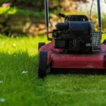petrol scarifier