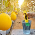 pH meter
