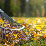 rake