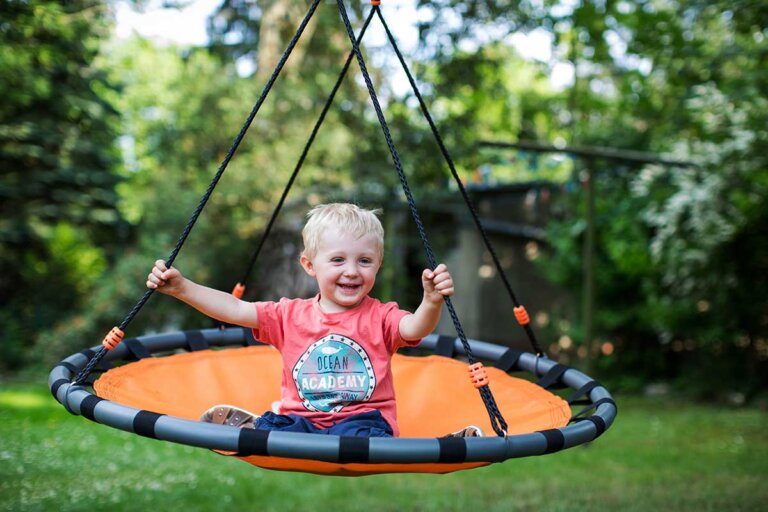 saucer tree swing