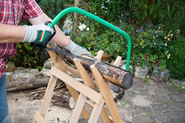 sawhorse