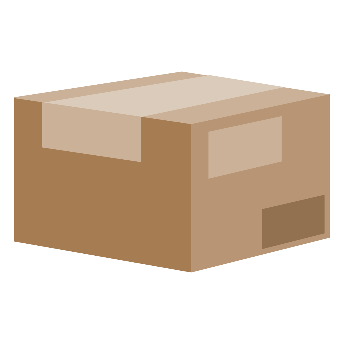 scope of delivery