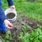 soil activator