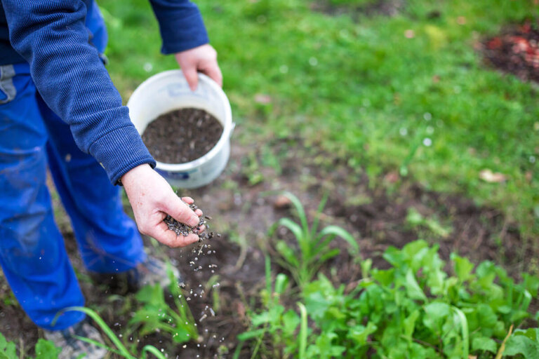 soil activator