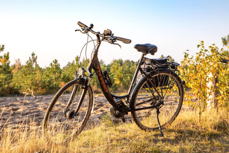 trekking bicycle