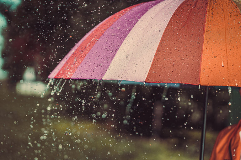 umbrella