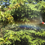 watering lance