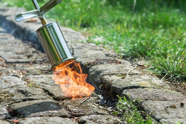 weed burner